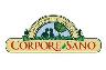 CORPORE SANO