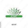 Agave
