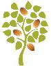 ALMOND