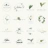 Nature-Plant