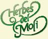 HERBES DE MOLI