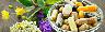 SUMINISTROS Y PROCESOS DIET