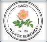 FLORES DE BACH