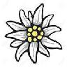 Flore Alpes