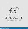 Bubulus