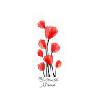 Amapola