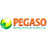 PEGASO