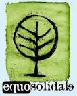 Equosolidale
