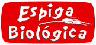 Espiga Biolgica