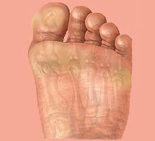 CALetdesyeuxdepoisson - HIPERnatural.COM