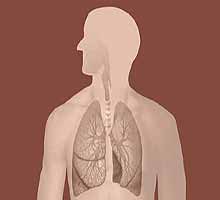 LUNGCANCER - HIPERnatural.COM