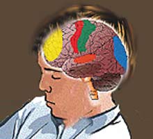 CHILDREN'SPILEPSIE - HIPERnatural.COM