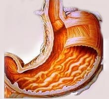 Gastrite - HIPERnatural.COM