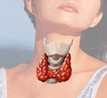 Hypothyrodie - HIPERnatural.COM