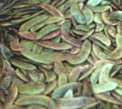 GUAR () - HIPERnatural.COM