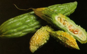MELONAMARGO (momordicacharantia) - HIPERnatural.COM