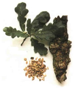 ROBLE () - HIPERnatural.COM