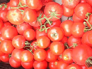 TOMATE (lycopersicumesculentum) - HIPERnatural.COM